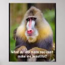 Search for mandrill posters Monkey