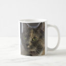 Search for grey cat photography White