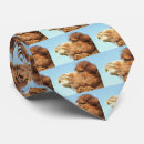Search for camel ties Wild