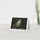 Search for wren cards Animals