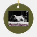 Search for mutt christmas tree decorations Animal