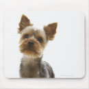 Search for interest mouse mats Mind
