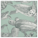 Search for turtle egg Ocean