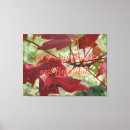 Search for maple canvas prints Fall