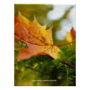 Search for red maple leaf art Nature
