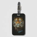 Search for wildcats accessories Wildlife