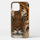 Search for tiger head iphone cases Wildlife