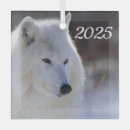 Search for white wolf christmas tree decorations Wildlife