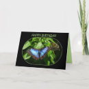 Search for blue morpho butterfly cards Photography