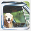 Search for pet sitting stickers Vertical