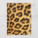 Search for brown leopard postcards Black