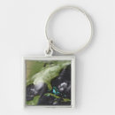 Search for katrina key rings Meteorology