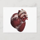 Search for three dimensional postcards Blood vessels