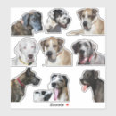 Search for various labels Dogs