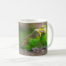 Search for budgerigar mugs Melopsittacus
