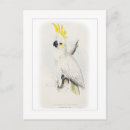 Search for wildlife art postcards Bird