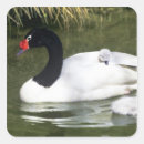 Search for necked stickers Bird