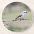 Search for flycatcher Oklahoma