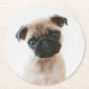 Search for pug coasters Adorable