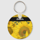 Search for fields rounded key rings Nature