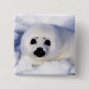 Search for seal badges Snow