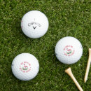 Search for flamingo golf balls Illustration