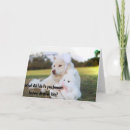 Search for funny dog easter cards Rabbit