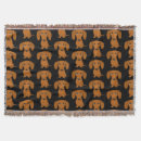 Search for sausage dog blankets Dachshund