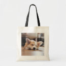 Search for corgis bags Cute