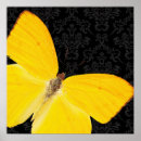 Search for yellow and black posters Simple