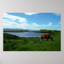 Search for scottish travel posters Highlands