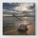 Search for shell clocks Coast
