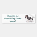 Search for cavalier king charles bumper stickers Blenheim