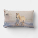 Search for white horse cushions Equestrian