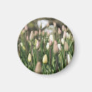 Search for budding magnets Photography