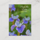 Search for insert photography Flower