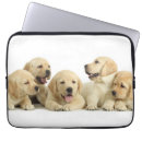 Search for litter electronics Dog
