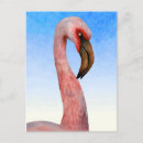 Search for flamingoe postcards For her