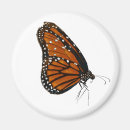 Search for whiteboard magnets Cute
