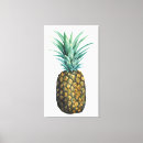Search for pineapple canvas prints Watercolor