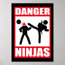 Search for ninjas posters Asian