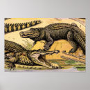Search for reptile posters Iguana