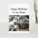 Search for piles cards Cute