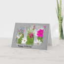 Search for cosmos cards Flower