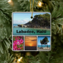 Search for haiti christmas tree decorations Labadee