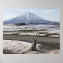 Search for shiba inu posters Puppy