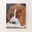 Search for beagle puppy puzzles Pets