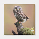 Search for whet Canada