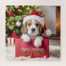 Search for beagle puppy puzzles Dog