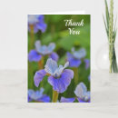 Search for blue iris cards Garden